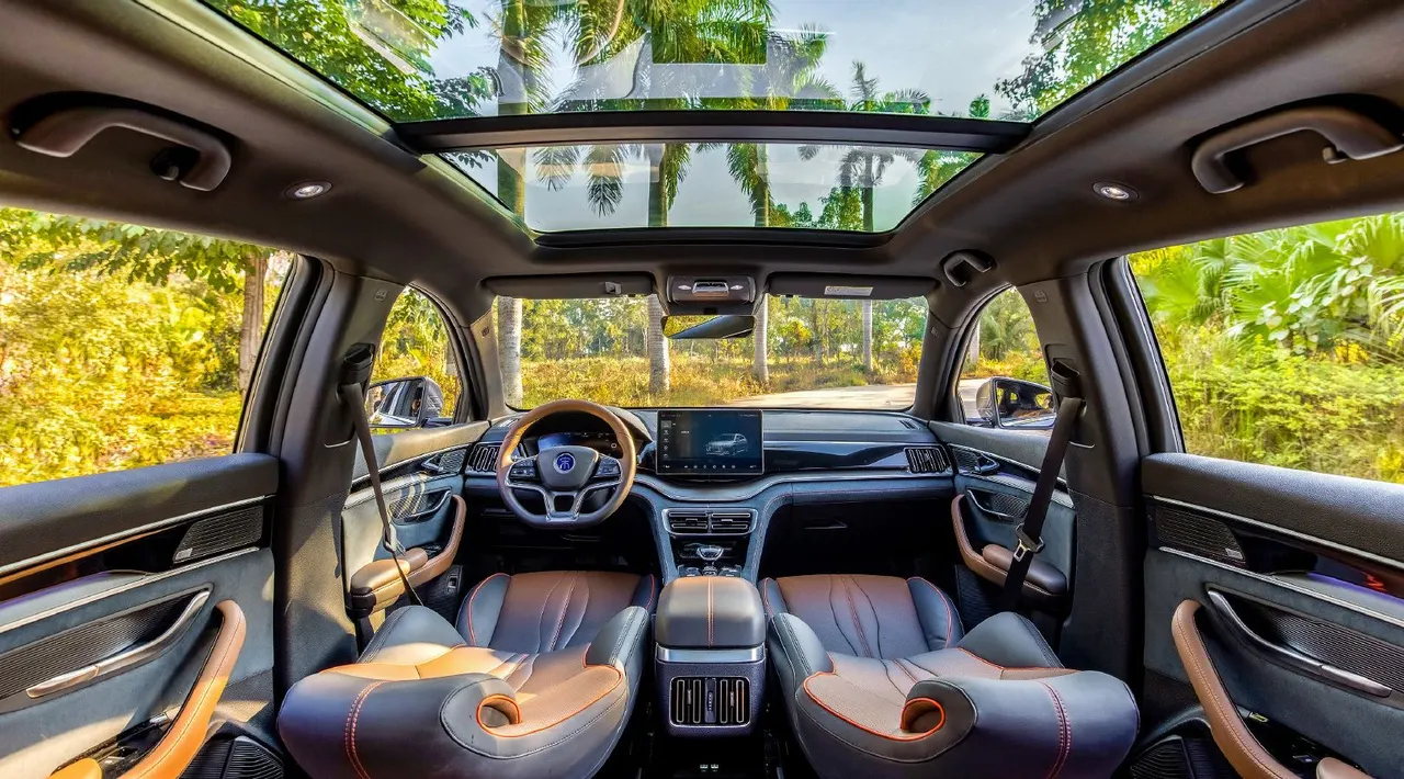 2021 BYD Song Plus EV 鈥?image 3