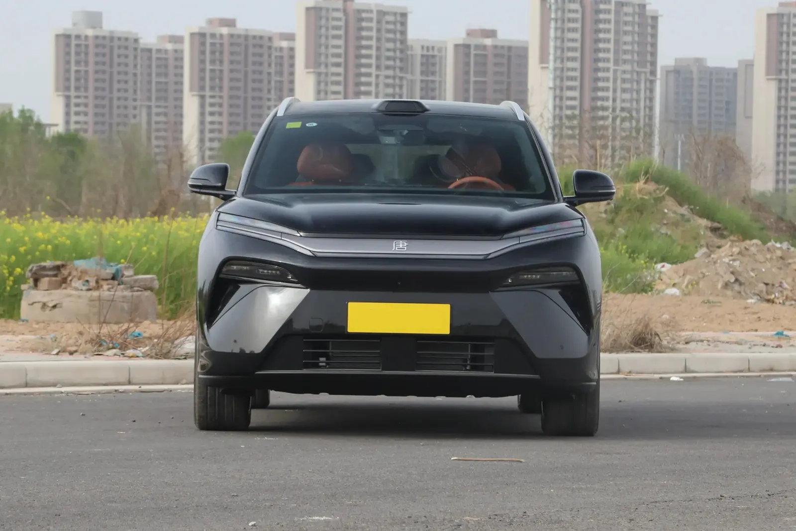 2025 BYD Tang L EV 鈥?image 2